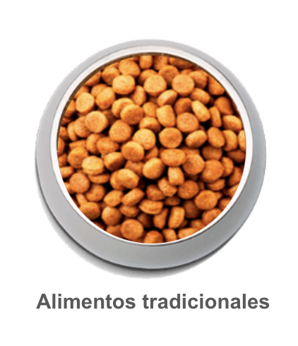 Alimentos tradicionales