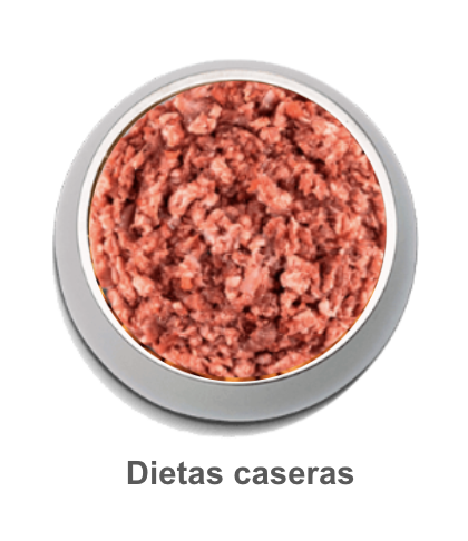 Dietas caseras